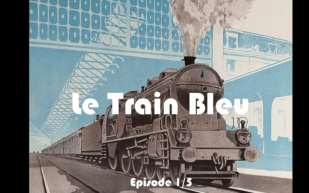 ARTICLES 8 le train bleu
