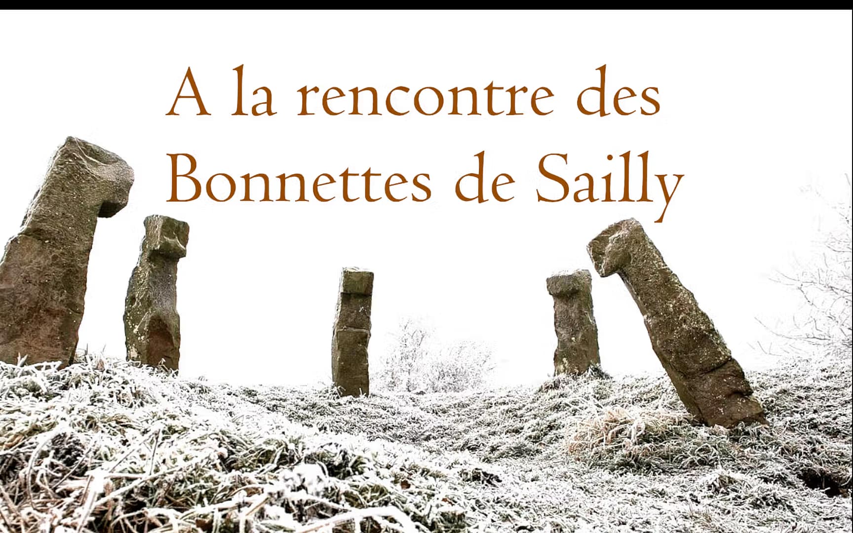 Les Bonnettes de Sailly