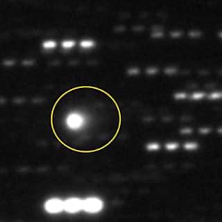 ARTICLES 8 Visite Interstellaire