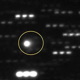 ARTICLES & VIDEOS 7 Visite Interstellaire