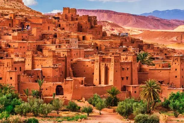 L'Addiction au Maroc : Un Défi de Santé Publique Majeur