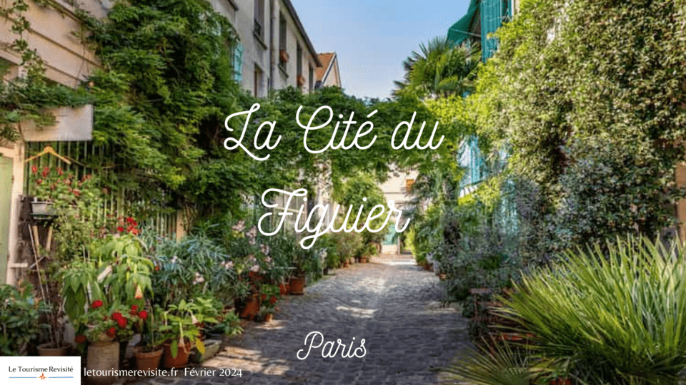 ARTICLES 6 La Cite du Figuier